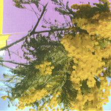 Four Tet - Into Dust (Still Falling) (INDIE EXCLUSIVE) [Vinyl]
