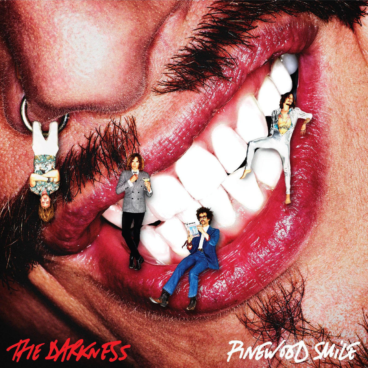 The Darkness - Pinewood Smile [CD]