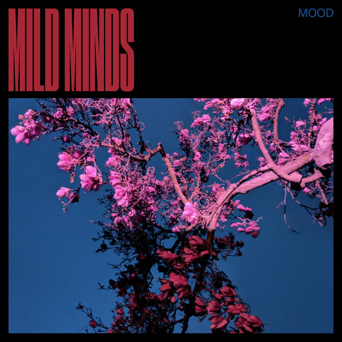 Mild Minds - MOOD (BLUE VINYL) [Vinyl]