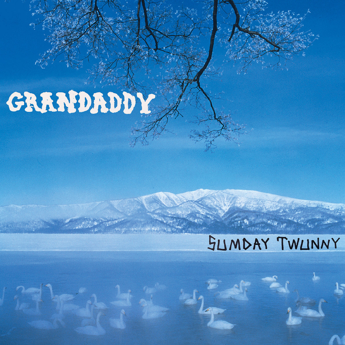 Grandaddy - Sumday: Twunny [Vinyl]