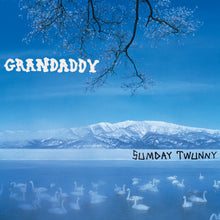 Grandaddy - Sumday: Twunny [Vinyl]