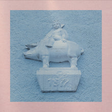 Pets (COKE BOTTLE CLEAR VINYL) [Vinyl]