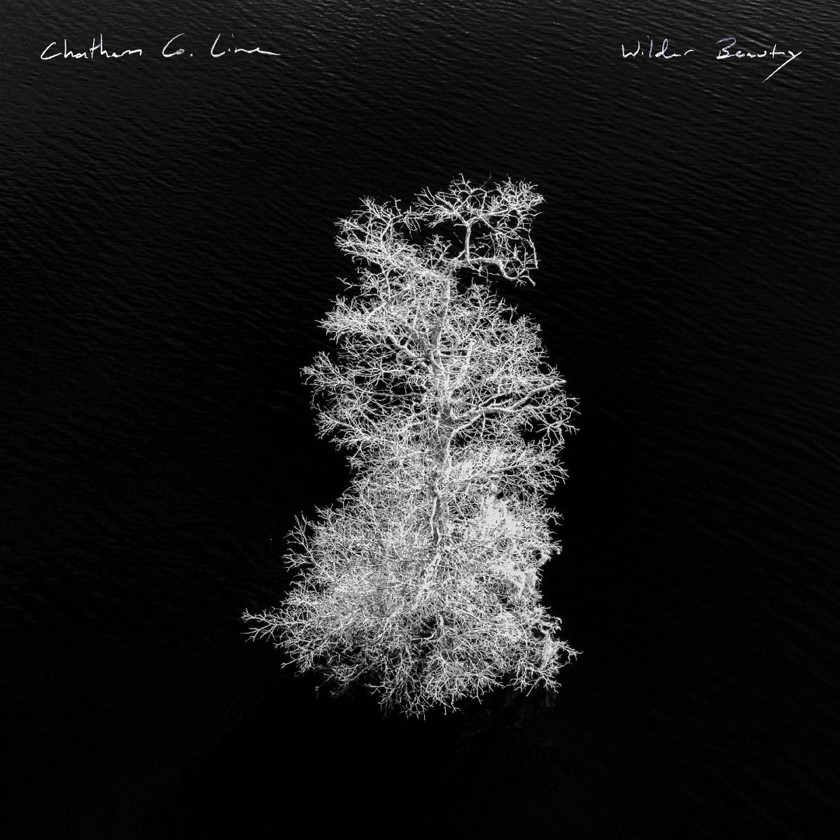 Wilder Beauty [Vinyl]