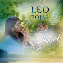 the album cover for Leo Rojas - Flying Heart [Import]