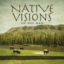the album cover for Ah Nee Mah - Native Visions: A Native American Music Journey