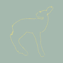the album cover for SongsOhia - Hecla and Griper [15th Anniversary Edition]