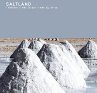 the album cover for Saltland - I Thought It Was Us But It Was All Of Us [180 Gram]