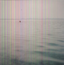 the album cover for Blue Cranes - Swim