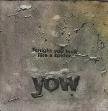 the album cover for David Yow - Tonight You Look Like a Spider