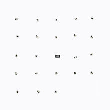 the album cover for Durian Brothers/Ensemble Skalectrik - Split Series 22