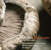 the album cover for Mikk Uleoja - Mushroom Cantata