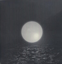 the album cover for Braids - Flourish // Perish [Vinyl]