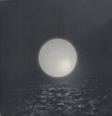 the album cover for Braids - Flourish // Perish [Vinyl]