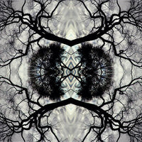 the album cover for Adam Rudolph - Sonic Mandala Go: Organic Orchestra