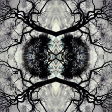 the album cover for Adam Rudolph - Sonic Mandala Go: Organic Orchestra