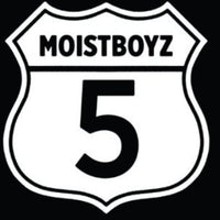 the album cover for Moistboyz - Moistboyz V