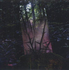 the album cover for Jensen Sportag - Stealth of Days