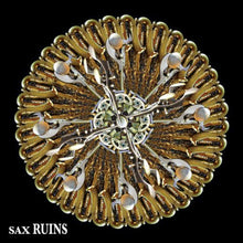 the album cover for Sax Ruins - Blimmguass