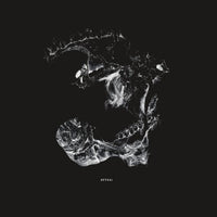 the album cover for Thug Entrancer - Death After Life [2LP]