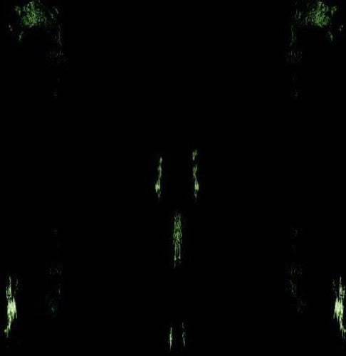 Impetuous Ritual - Unholy Congregation of Hypocritical Ambivalence [CD]