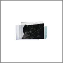 the album cover for Christopher Bissonette - Essays in Idleness