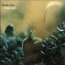 the album cover for Steely Dan - Katy Lied