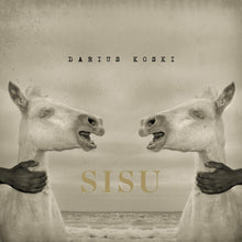 the album cover for Darius Koski - Sisu [Vinyl]