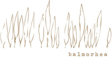 the album cover for Balmorhea - Balmorhea