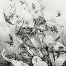 the album cover for Mono - The Last Dawn [Vinyl]