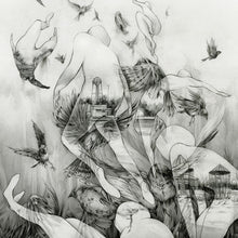 Mono - The Last Dawn [Vinyl] Vinyl Record
