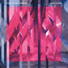 A Place To Bury Strangers - Transfixiation [Vinyl] Vinyl Record