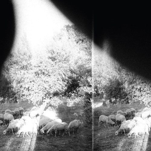 the album cover for Godspeed You! Black Emperor - Asunder Sweet & Other Distress