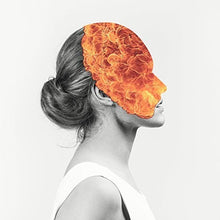 the album cover for Agent Fresco - Destrier