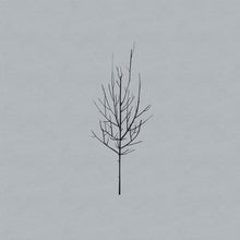 the album cover for Low - Ones and Sixes