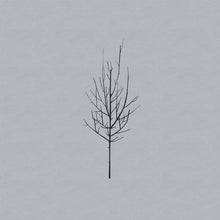 Low - Ones and Sixes [CD]