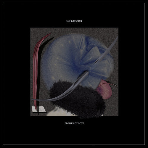 the album cover for Ian Drennan - Flower of Love