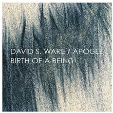 the album cover for David Ware S - Apogee / Birth of a Being