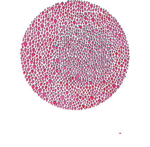 the album cover for Julia Brown - An Abundance Of Strawberries [Colored Vinyl]
