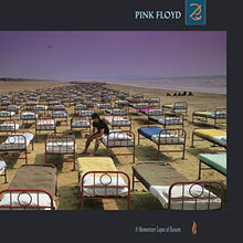 Pink Floyd - A Momentary Lapse of Reason [Vinyl] Vinyl Record