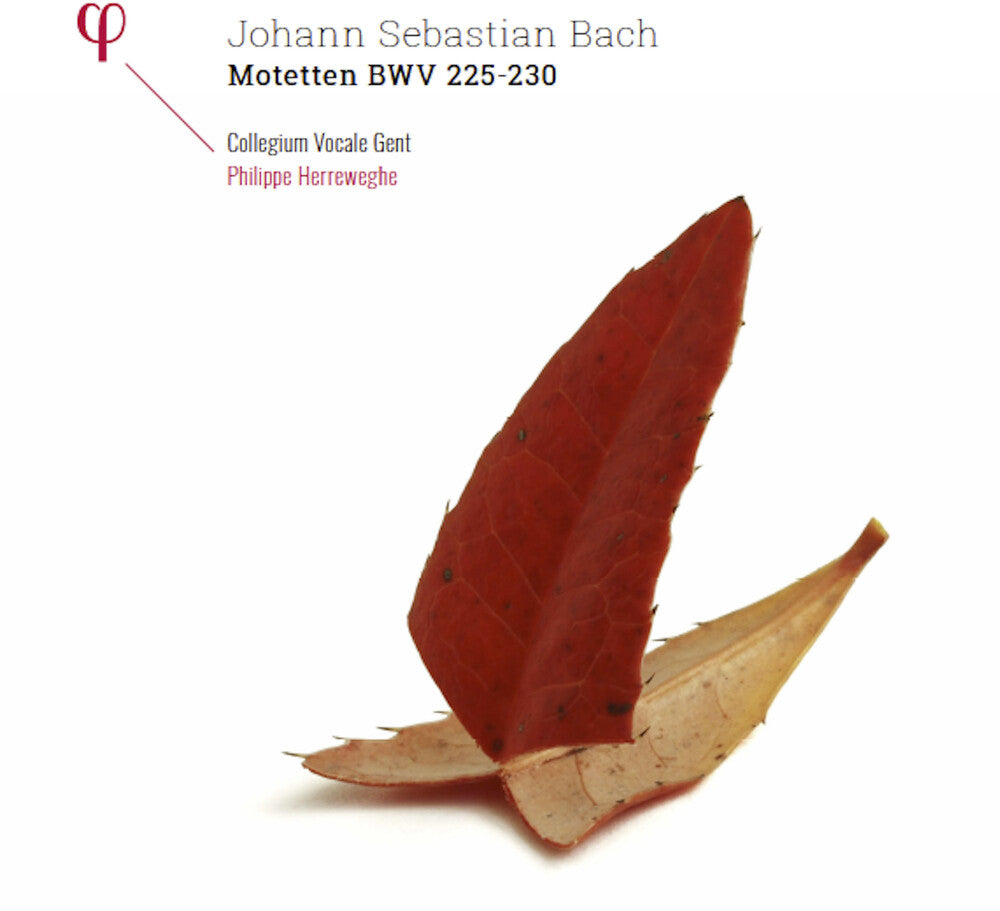 the album cover for Bach / Philippe Herreweghe / Collegium Vocale Gent - Johann Sebastian Bach: Motetten BWV 225-230