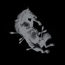 Touche Amore - Dead Horse X [LP] Vinyl Record