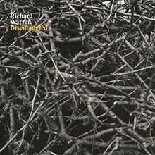 the album cover for Richard Warren - Disentangled (Green Vinyl) [Colored Vinyl] (Grn) [Limited Edition] (Uk)