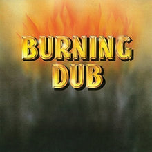 the album cover for Revolutionaires - Burning Dub