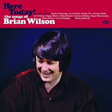 the album cover for Here Today! Songs Of Brian Wilson / Various Uk - Here Today! Songs Of Brian Wilson / Various