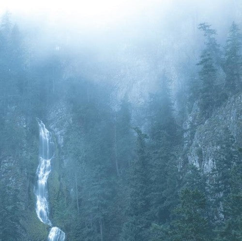 Wolves In The Throne Room - Diadem Of 12 Stars [LP] Vinyl Record