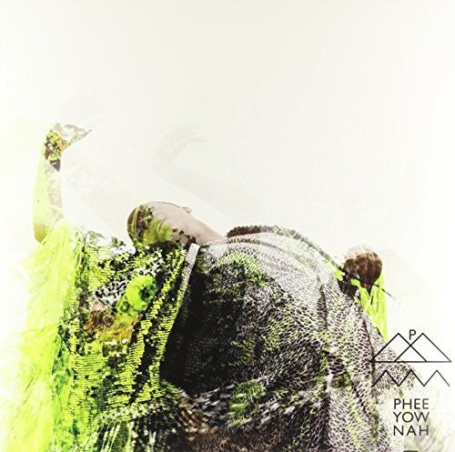 the album cover for Pheeyownah - Zero9zero9