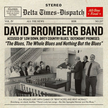 David Bromberg Band - Blues The Whole Blues & Nothing But The Blues [CD]