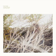 the album cover for Luke Temple - A Hand Through The Cellar Door [Vinyl]