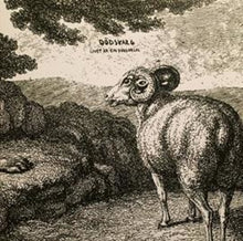 the album cover for Dodsvarg - Livet Ar En Dodsorsak