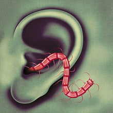 Thee Oh Sees - An Odd Entrances [CD]